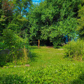 Naturimpressionen im Garten des Haus des Kindes