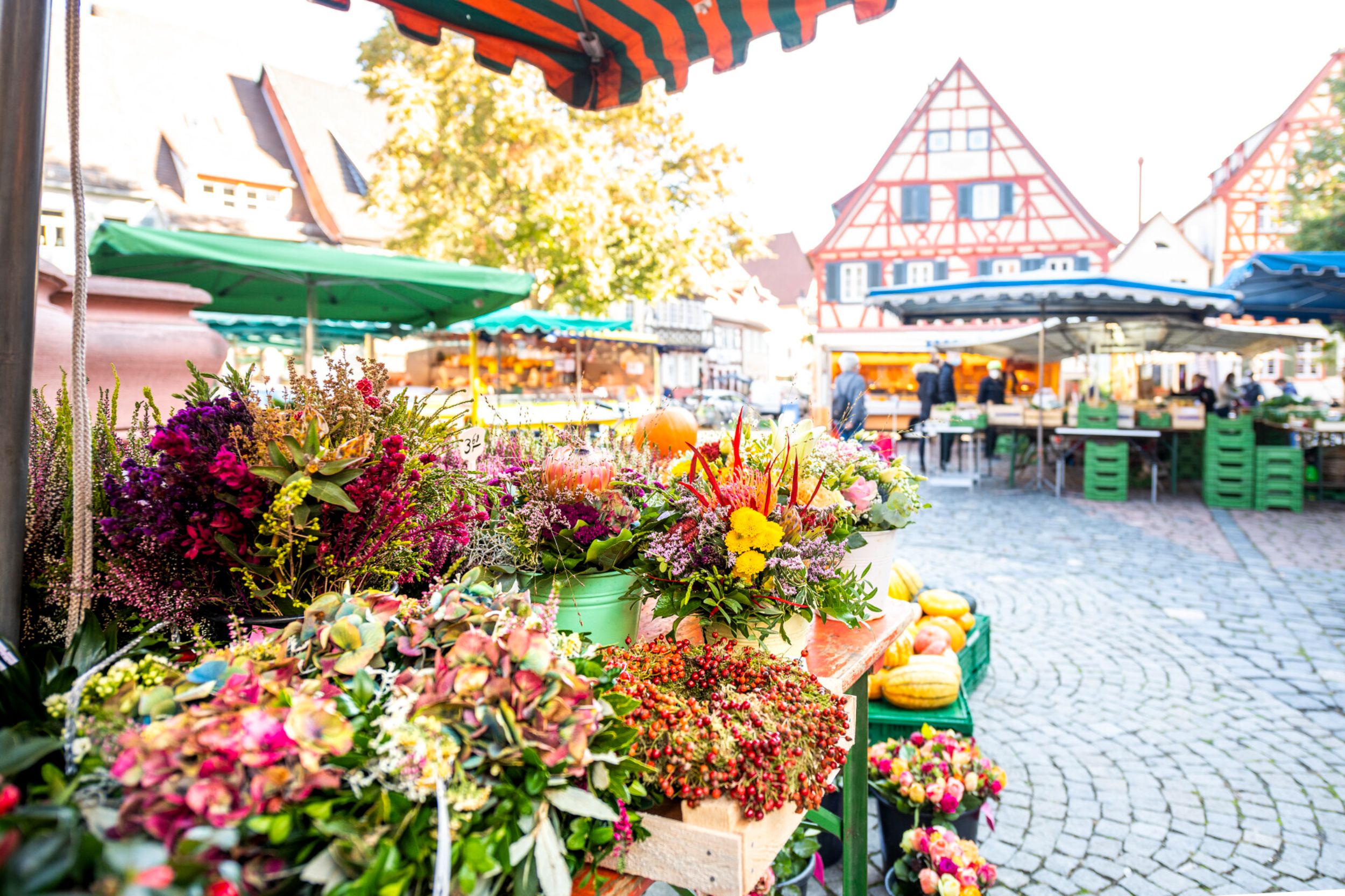 Stand am Wochenmarkt auf dem Marktplatz