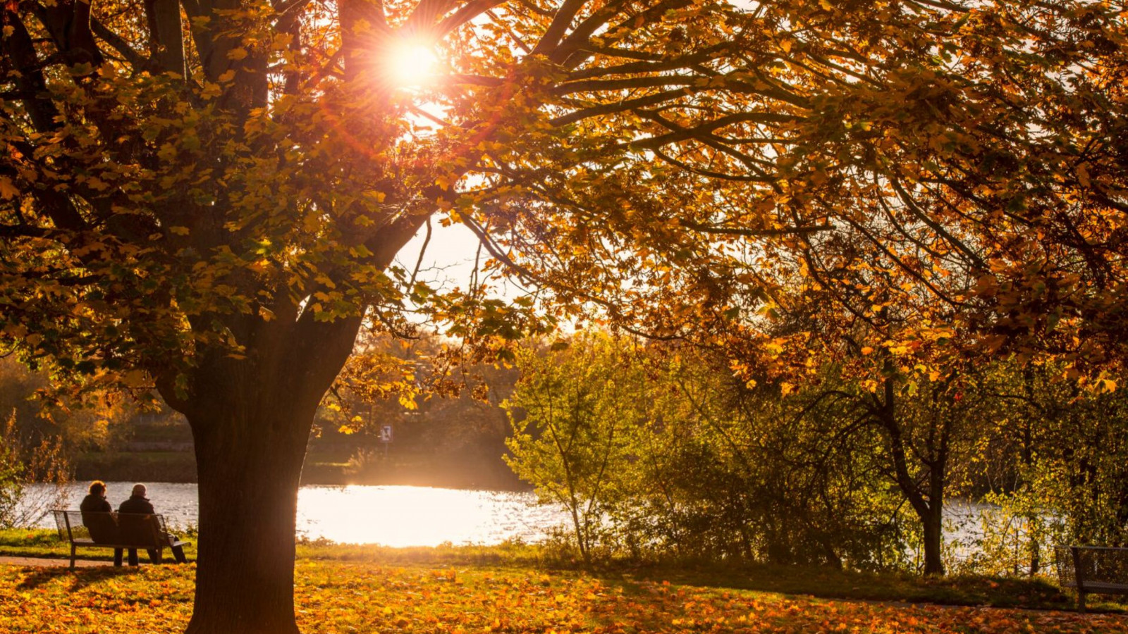 Neckarwiese im Herbst
